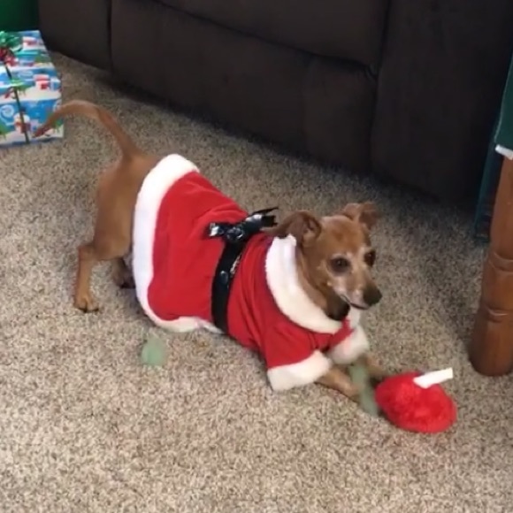 Assistant Posher, Novella - Picture 4 of 6